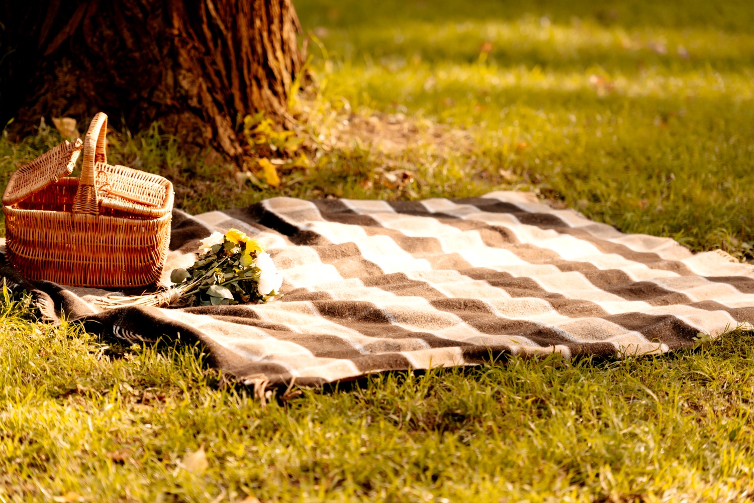 Wicker picnic basket on a rug on grass by a tree