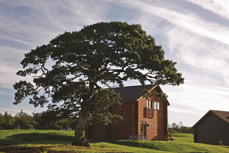 Lodge under a tree against a cloudy sky at Bluestone in Wales