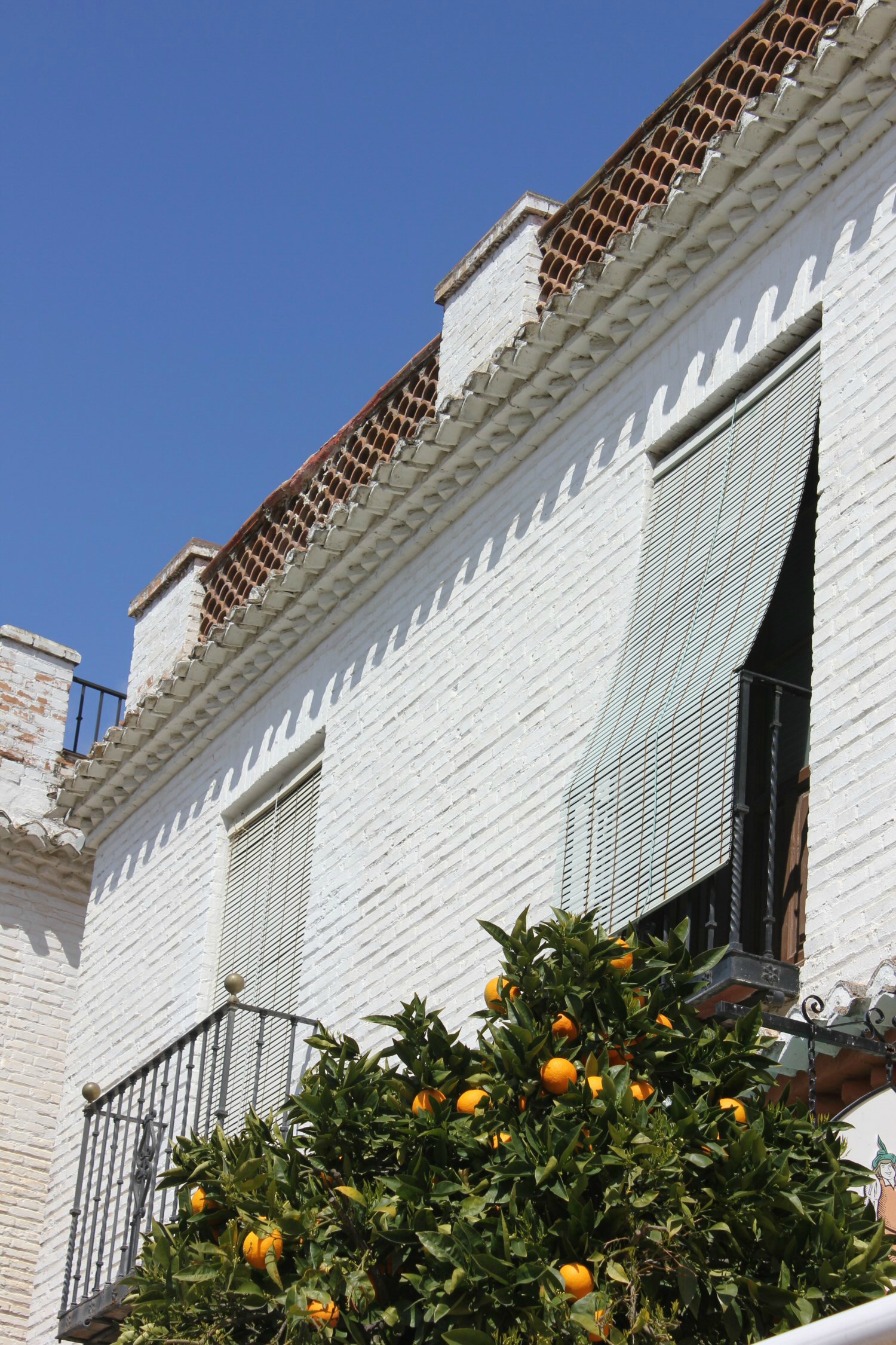Naranjas en los árboles contra una de las casas blancas del Albaicín Granada en imágenes: mis fotos de Granada, España