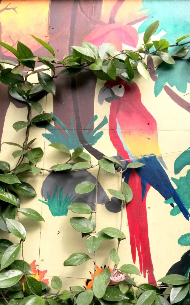 Brightly coloured parrot painting in the bird enclosures at Hanwell Zoo