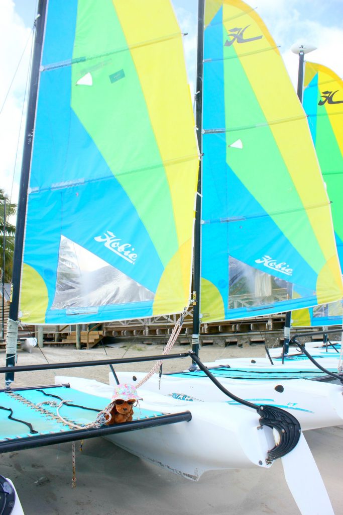 Brightly coloured sails of the all-inclusive water sports at St James Club Morgan Bay, St Lucia
