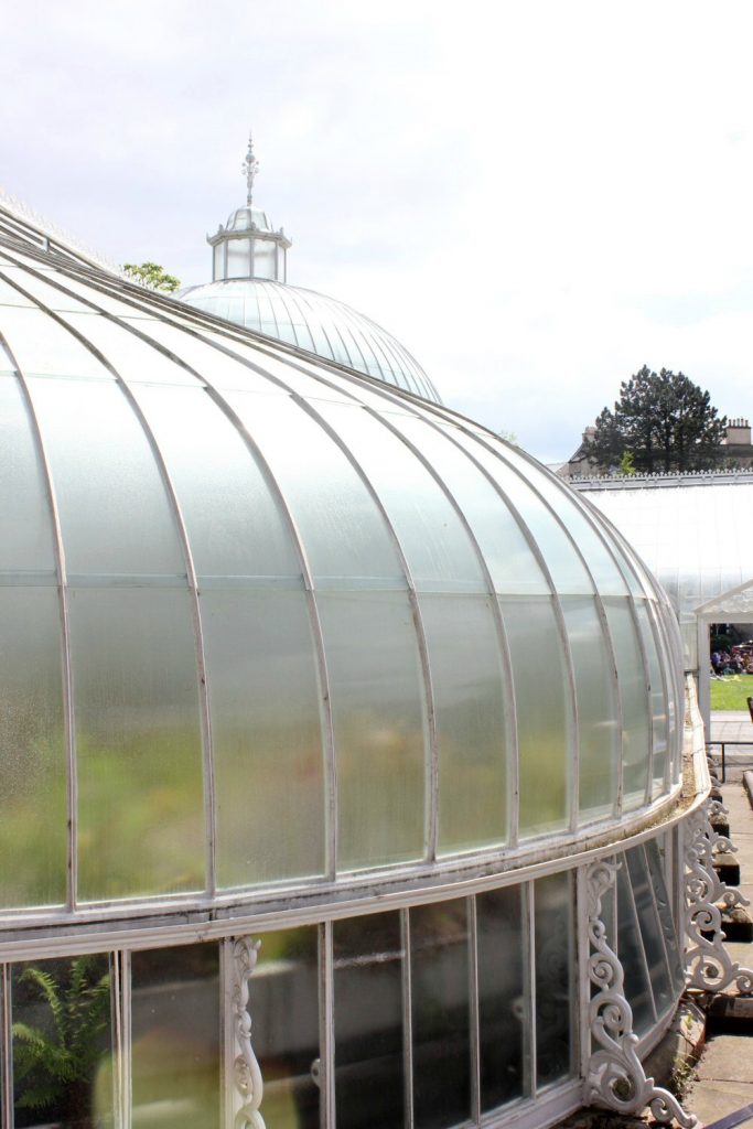 Curved corner of a glasshouse at the Glasgow botanic gardens