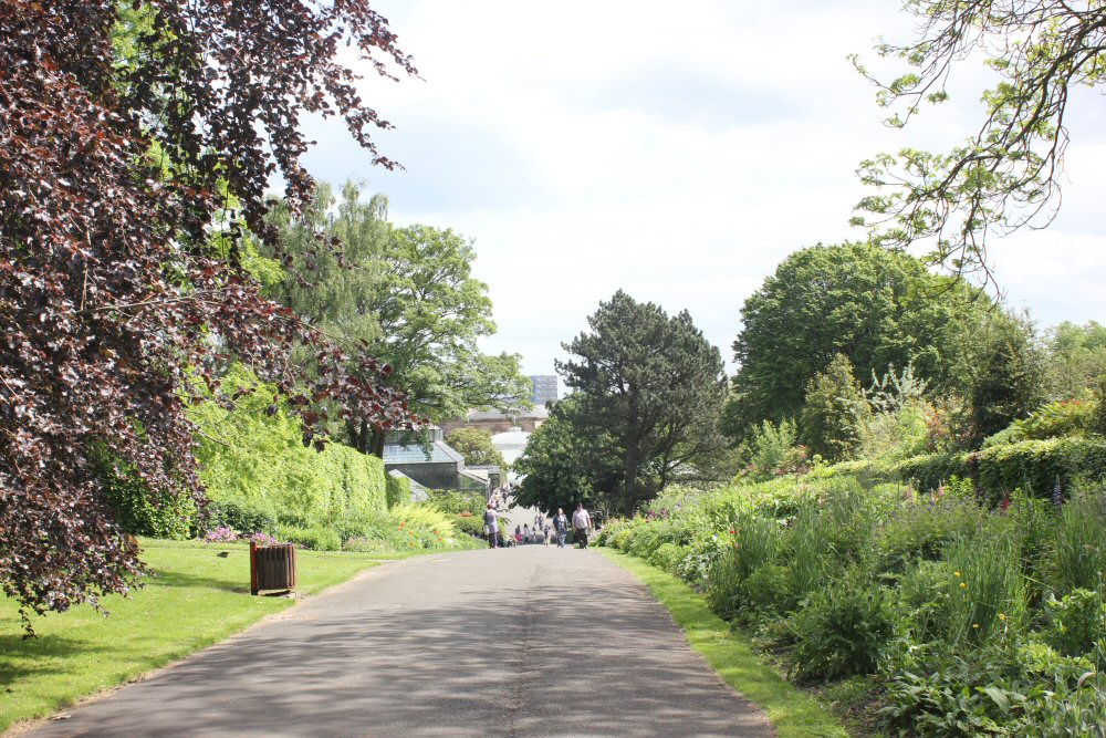 Path through Glasgow's botanic gardens
