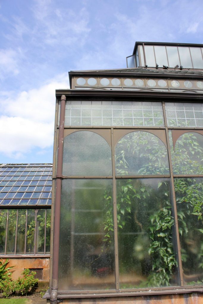 Window of one of the glasshouses at Glasgow's botanic gardens