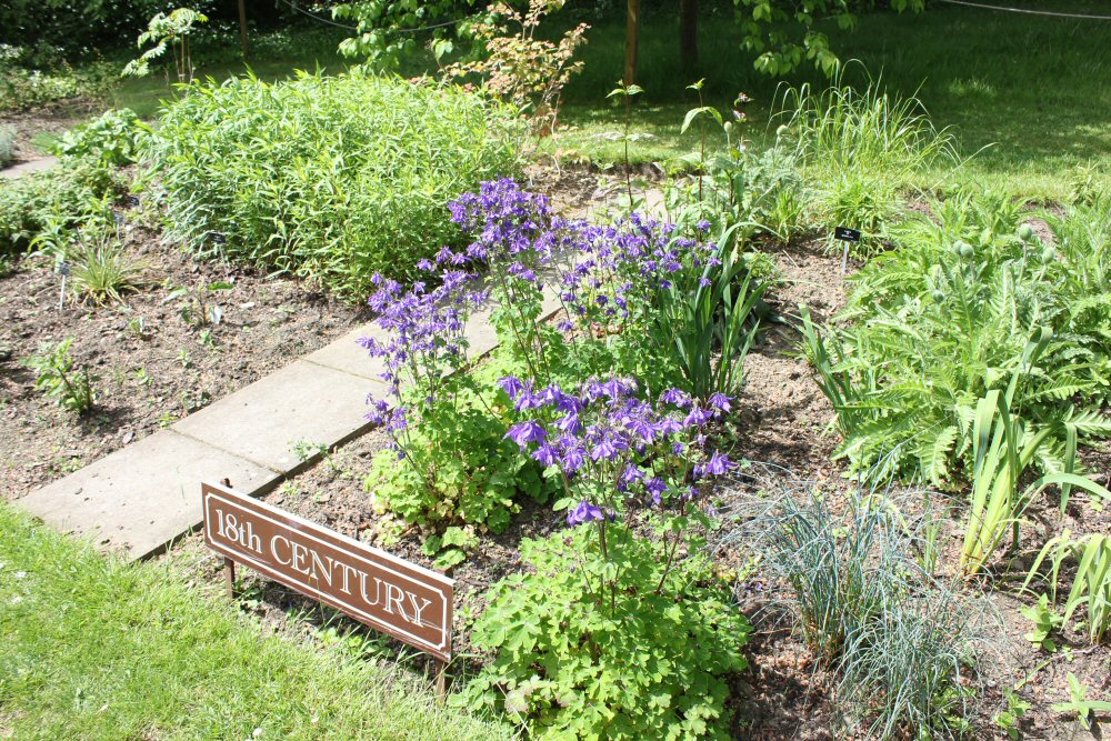 18th century sign next to one of the historic flowerbeds - visiting Glasgow botanic gardens with kids