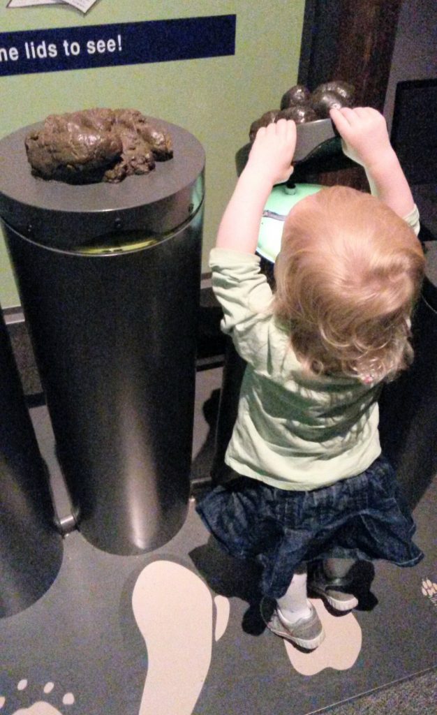 Toddler checking out the poo exhibits at the National History Museum mammoth exhibition in London
