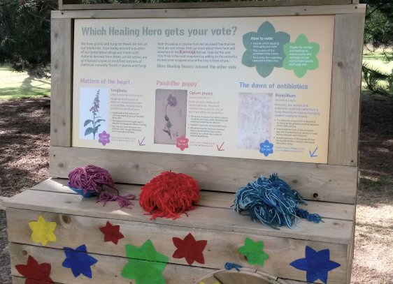 Details of healing plants at the Kew Gardens exhibition Plantasia