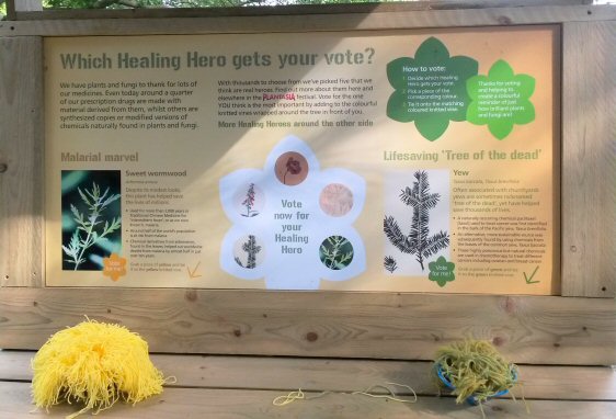 Details of healing plants at the Kew Gardens exhibition Plantasia