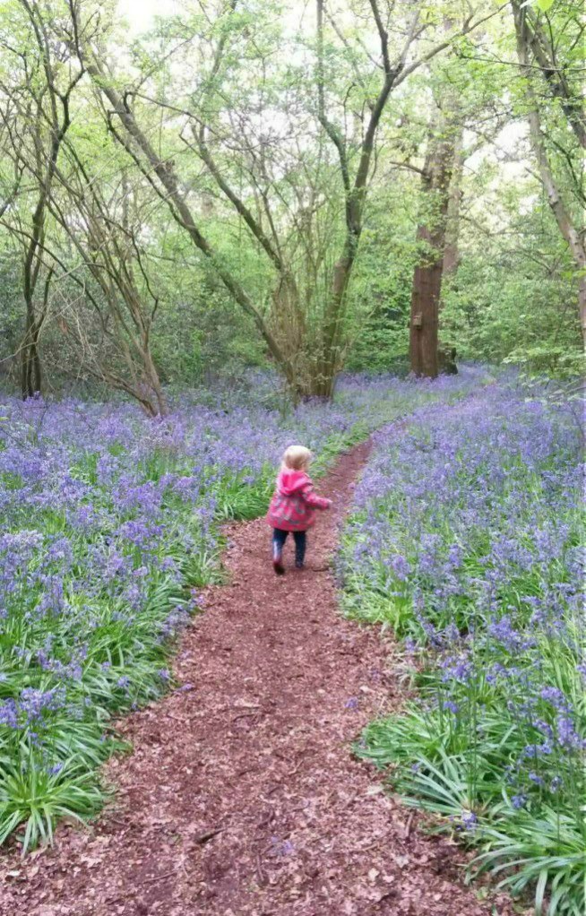 Toddler running along a path with bluebells either side in the Perivale woods, west London