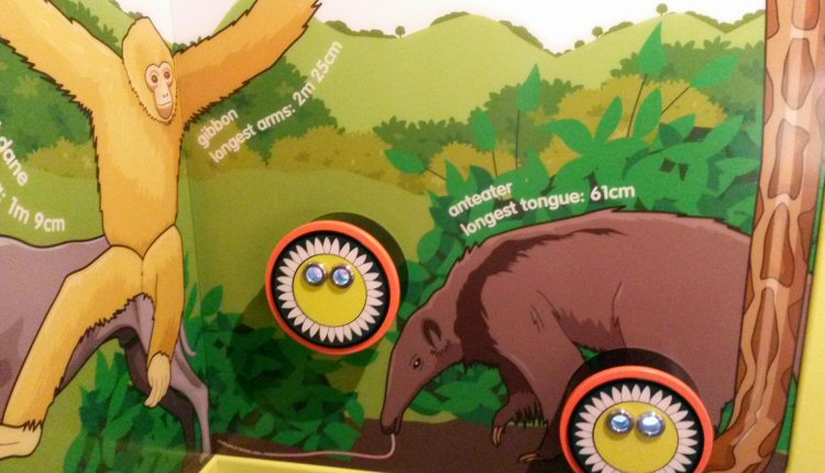 Display showing different facts at Eureka National Children's Museum in Yorkshire