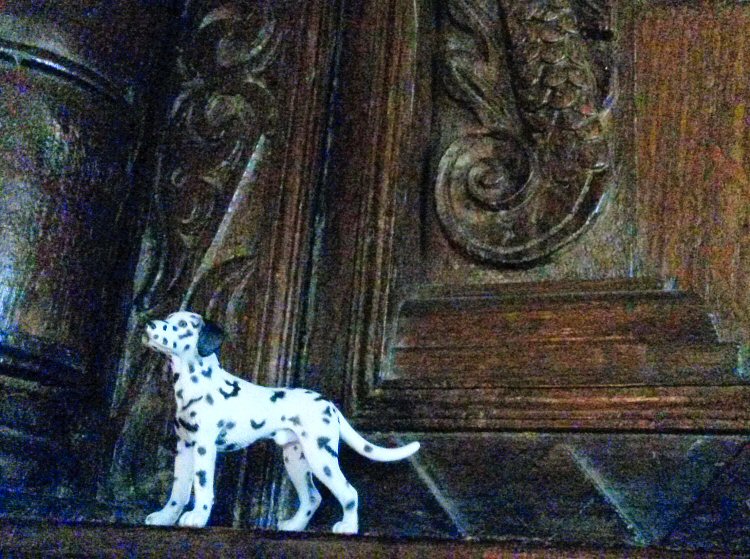 One of the dalmatians to spot at Packwood House National Trust property in Warwickshire