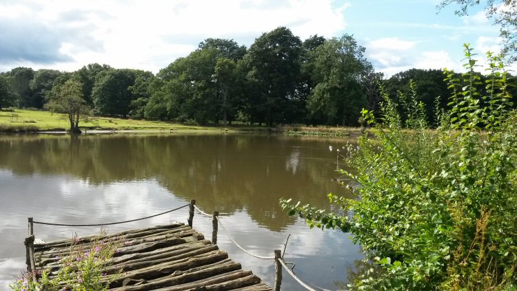 View out over the lake at Packwood House National Trust property in Warwickshire