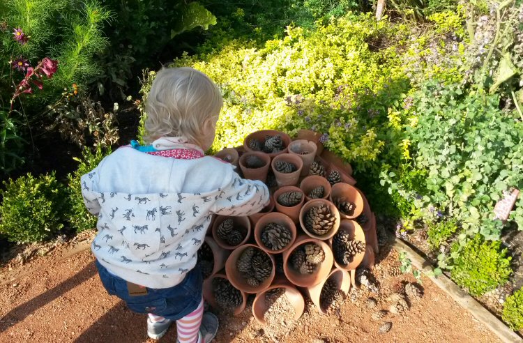 My toddler daughter checks out the cones for bugs in the gardens at Packwood House National Trust property in Warwickshire