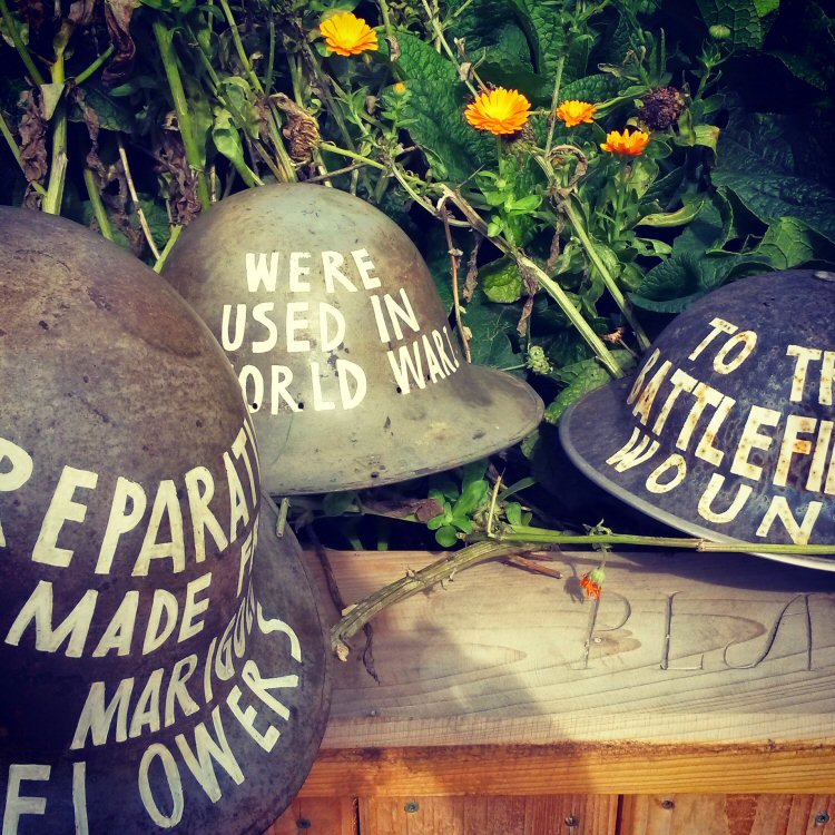 One of the exhibits at Plantasia at Kew Gardens on plants used during the first world war