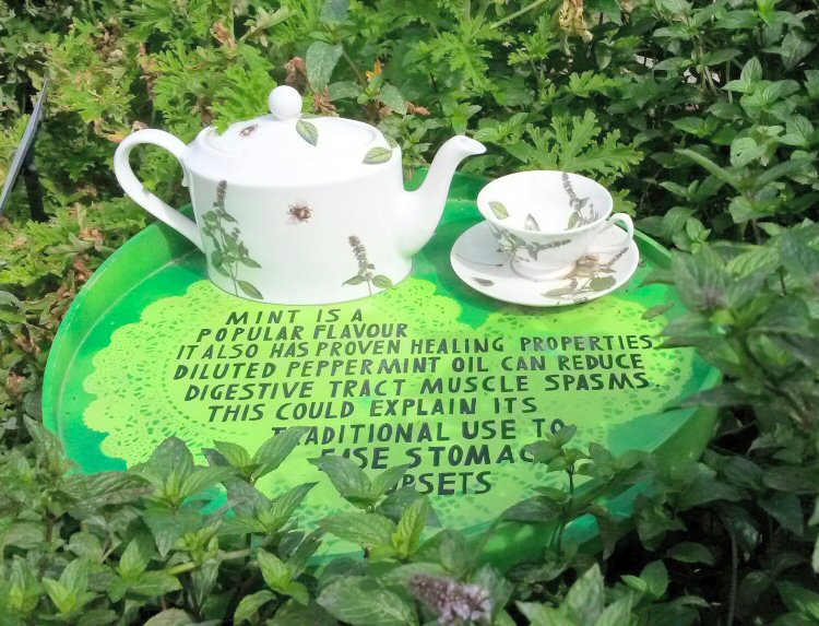 Healing mint exhibit at Plantasia at Kew Gardens