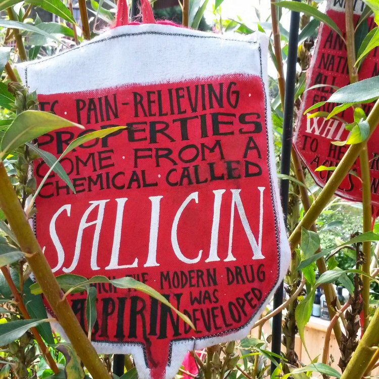 Plantasia exhibit on the extract used in aspirin