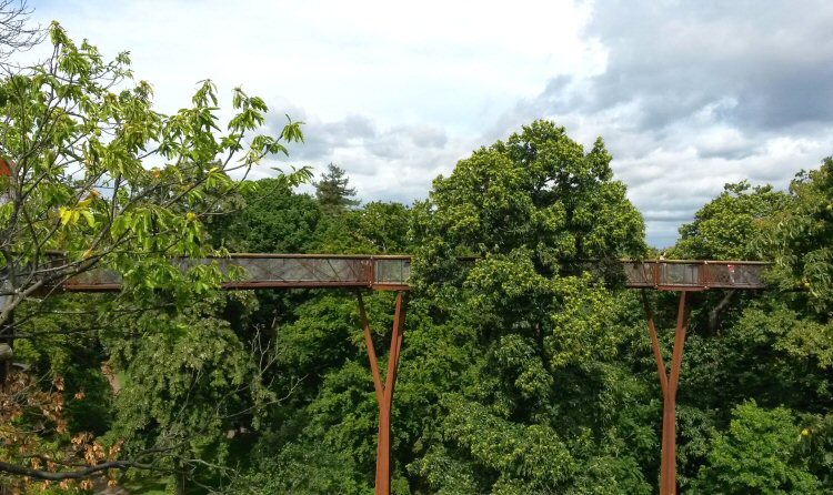 Treetop walkway at Kew Gardens