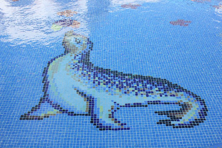 Seal mosaic on the floor of the pool at the Gran Castillo hotel in Lanzarote