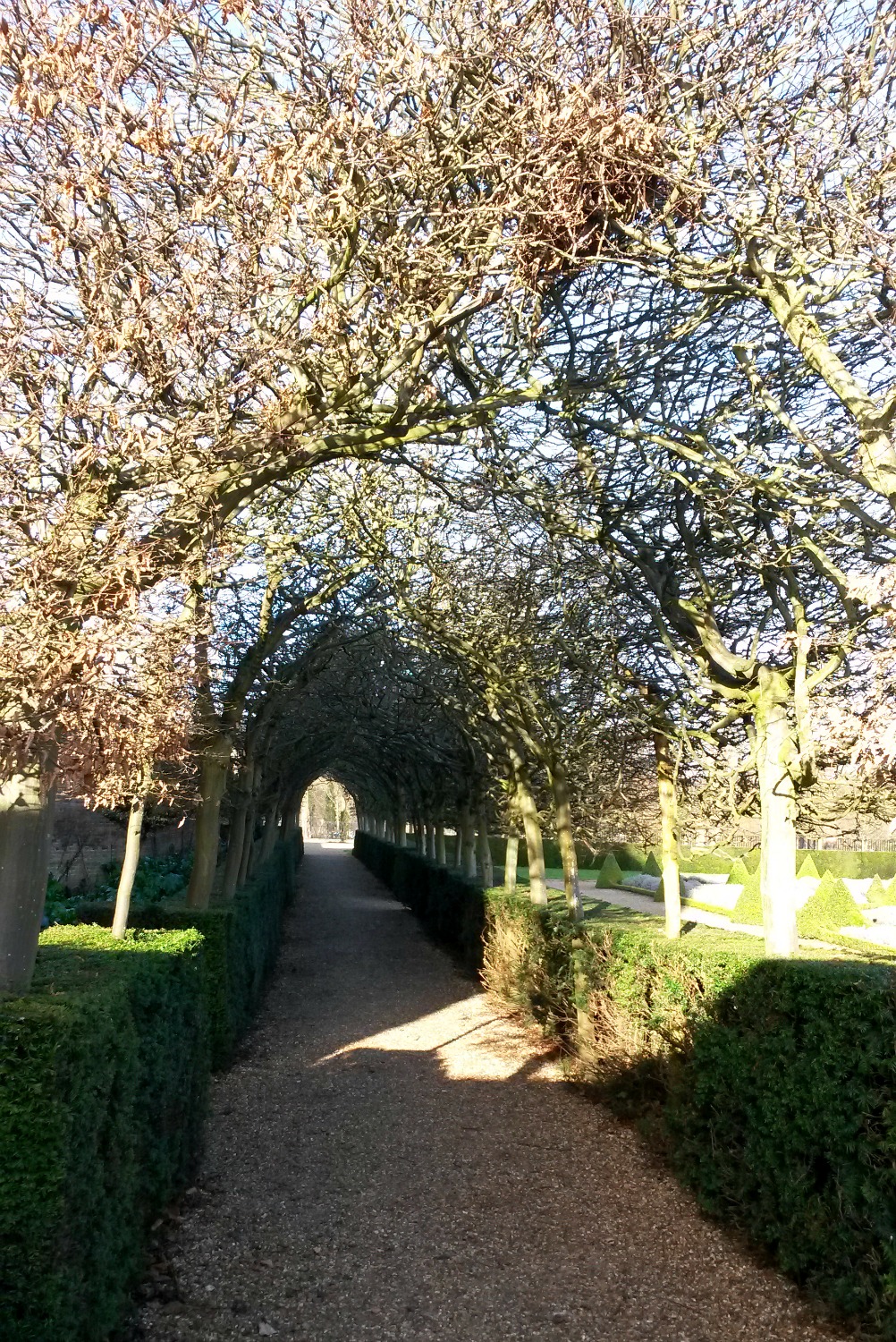 View of the path under the trees at Ham House in Surrey - our day out in Surrey with kids