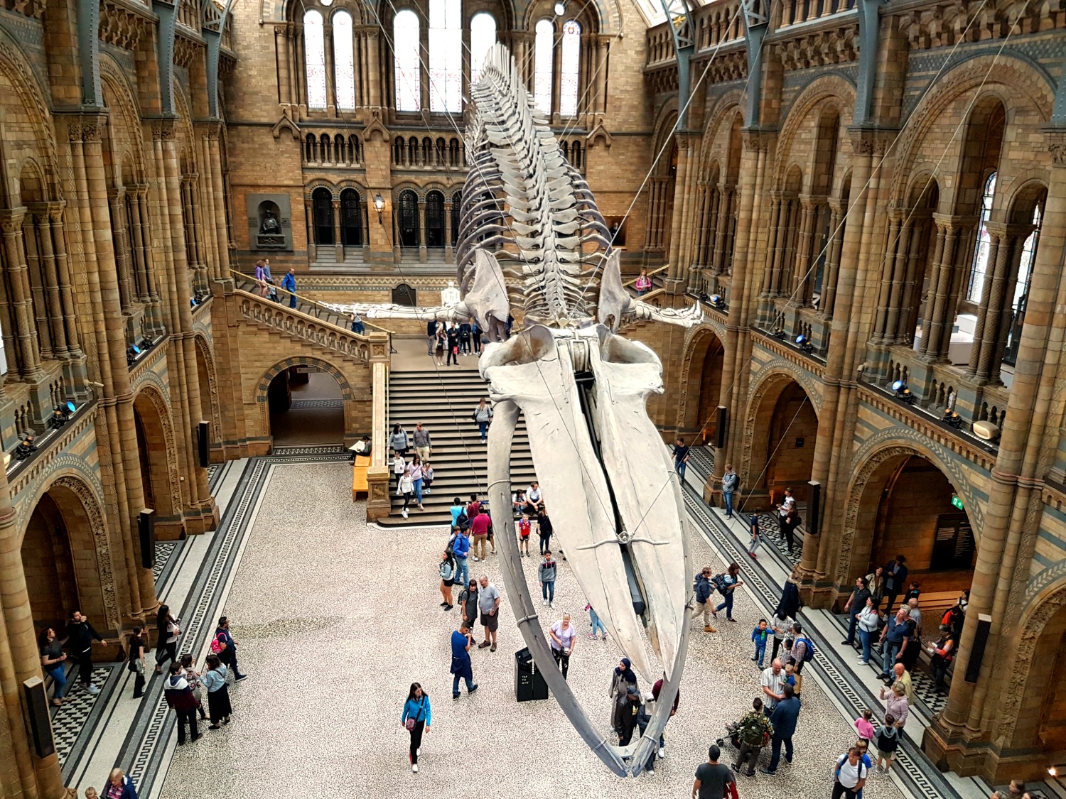 Family London: tips for visiting the Natural History Museum with a toddler - mummytravels