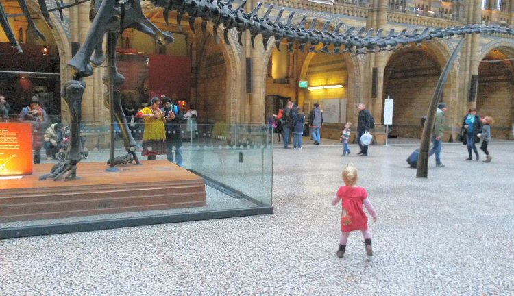 My toddler daughter stands near the tail of Dippy the diplodocus in the Hintze Hall of the Natural History Museum in London