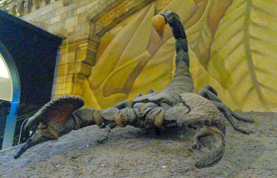 The giant scorpion model - discovering the Natural History Museum for kids aged under five