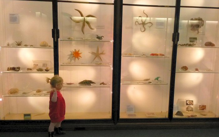 My daughter looks at the marine exhibits - discovering the Natural History Museum for kids aged under five