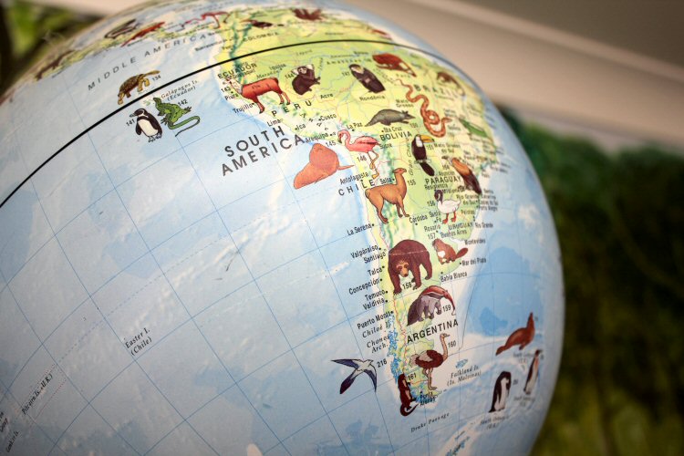 Close-up of a globe at the Isle of Wight Monkey Haven