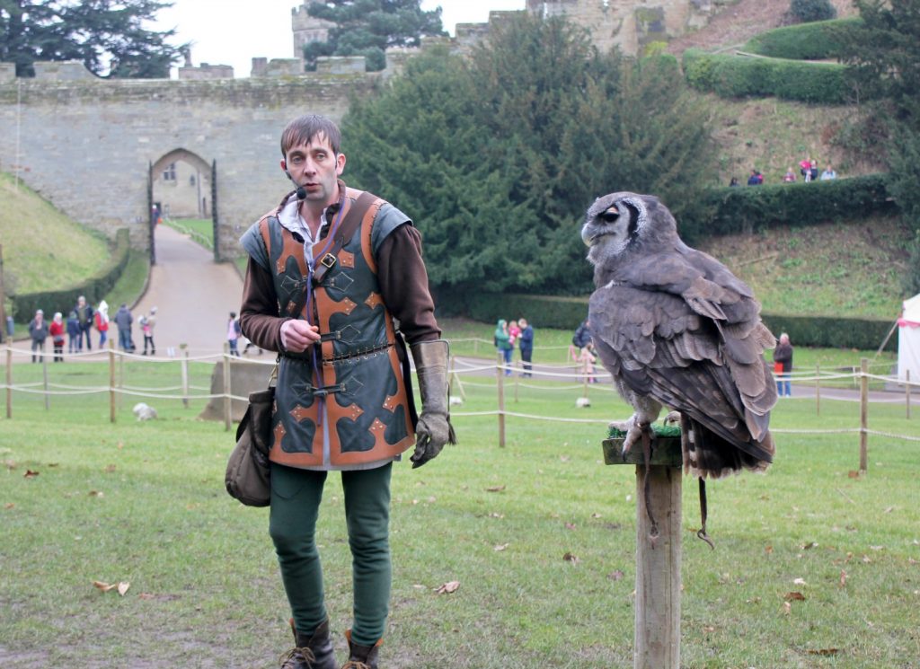 Owl on a perch by the falconer during the birds of prey show- visiting Warwick castle with a toddler