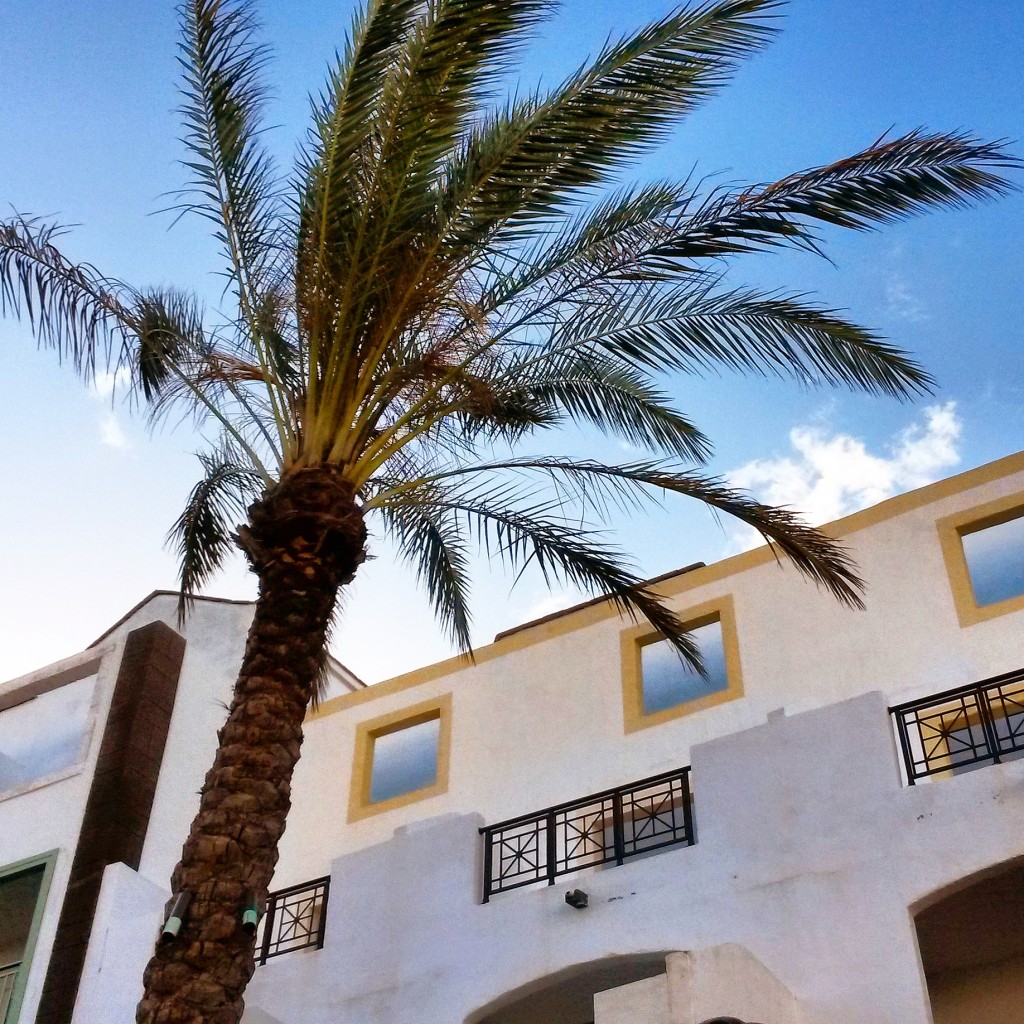 Blue skies and palm trees in Lanzarote for the Thursday Travel Treat