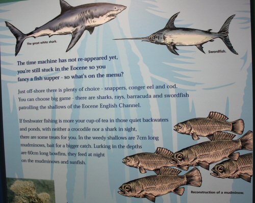 A sign showing the history and timeline of when dinosaurs lived, in the Dinosaur Isle attraction