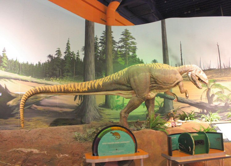 One of the dinosaur models on display at the Isle of Wight Dinosaur Isle museum
