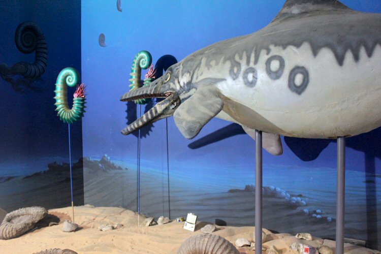 Models of marine dinosaurs at the Isle of Wight's Dinosaur Isle attraction