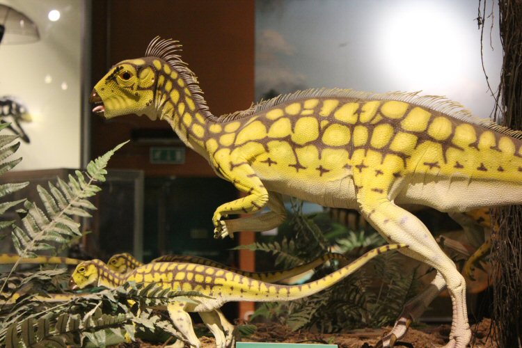 Brightly coloured models of dinosaurs at the Isle of Wight Dinosaur Isle attraction
