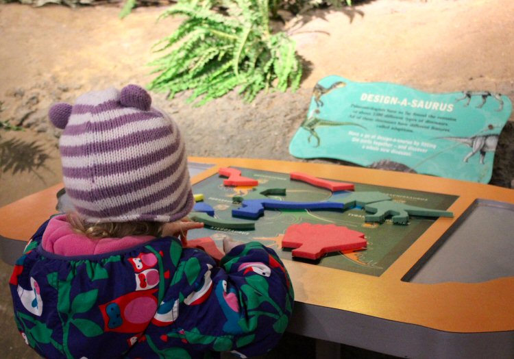 My daughter playing with small dinosaur shapes at Dinosaur Isle