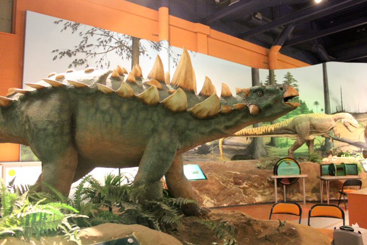 Model stegosaurus in the Isle of Wight Dinosaur Isle museum - visiting with a toddler