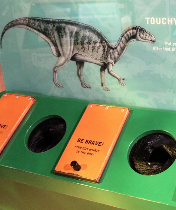 Touch displays at Dinosaur Isle on the Isle of Wight