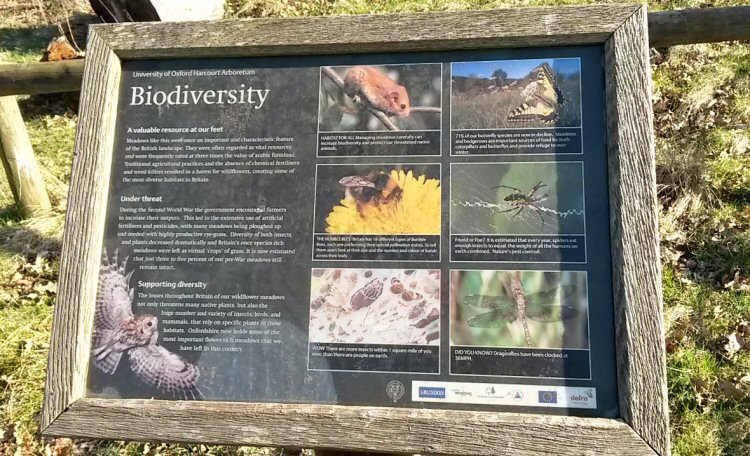 Sign withinformation on animals and biodiversity - a day out at Harcourt Arboretum with a toddler