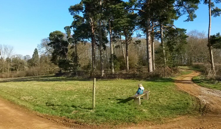 My toddler sits down on a wooden bench during our day out at Harcourt Arboretum - exporing part of the Oxford Botanic Gardens with kids