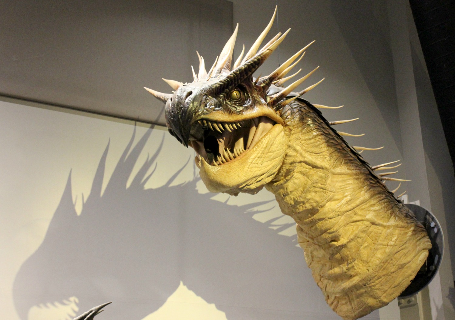 Head of one of the dragon models in the creatures section on the Warner Bros studio tour