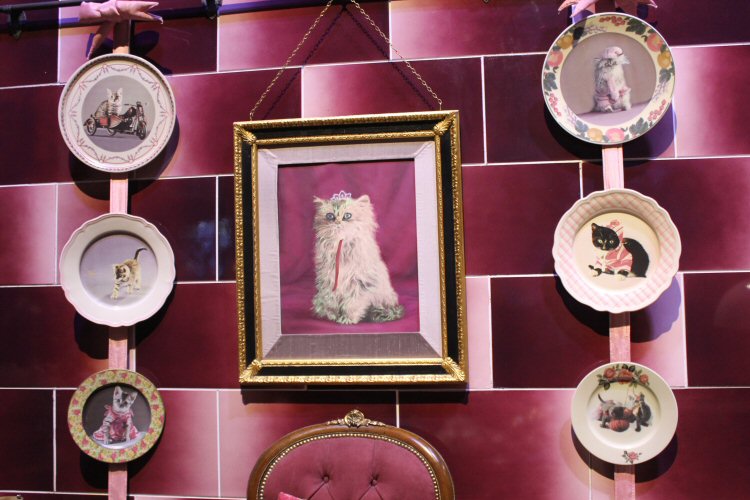 Picture of a cat flanked by cat plates from the set of Umbridge's office at Hogwarts