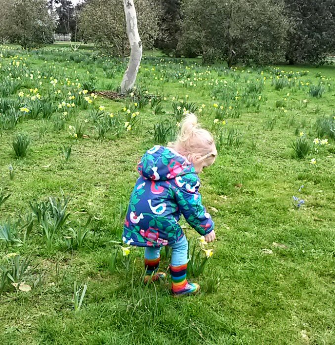 My daughter among the daffodils at Kew Gardens