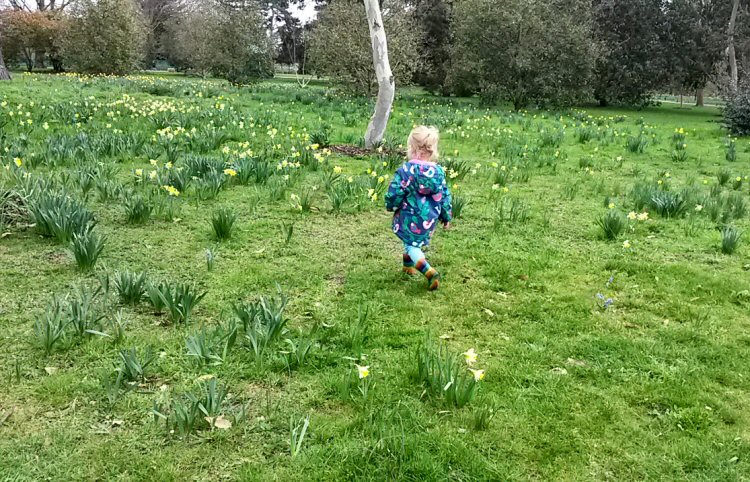 My daughter among the daffodils at Kew Gardens