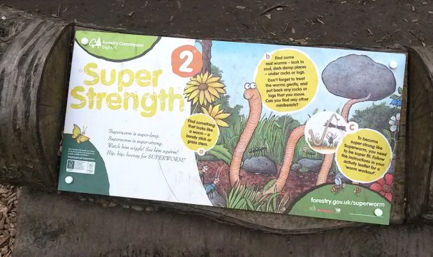 Sign two along the Superworm trail at Wendover Woods