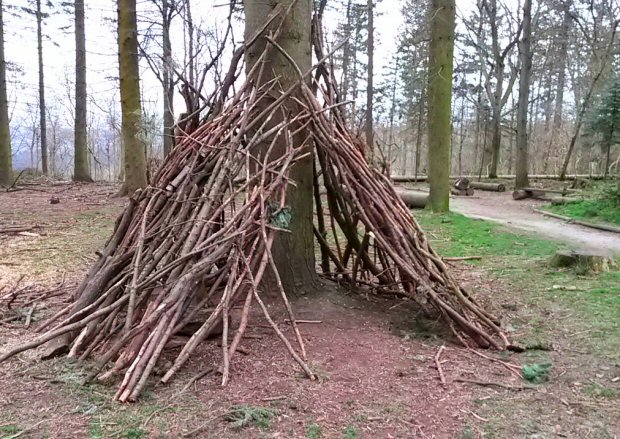 Sticks piled up to make a den at Wendover Woods, where we followed the Superworm trail