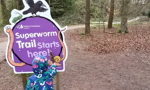 The sign showing the official start point of the Superworm trail at Wendover Woods