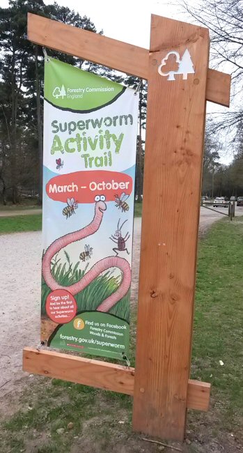 Sign at the start of the Superworm trail at Wendover Woods