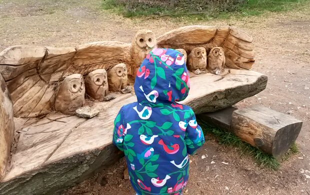 Carved owls on the bench near the Gruffalo at Wendover Woods