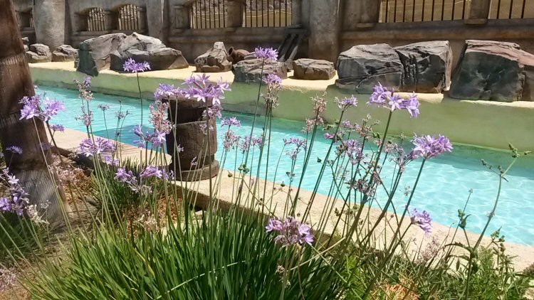 The calm water of the lazy river at Aqualand Gran Canaria - my review of a day at the water park in Maspalomas with kids