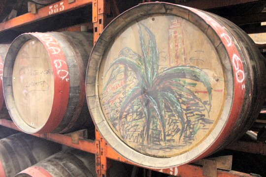 A barrel decorated with a palm tree at the Arucas rum distillery in Gran Canaria